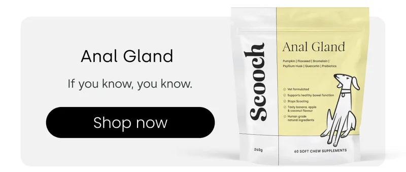 Show your love with these bestsellers - Shop Anal Gland