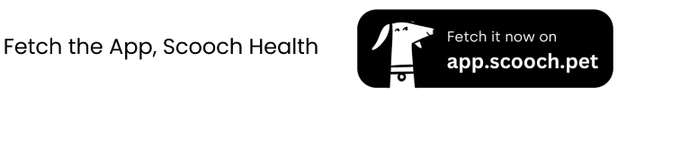 Fetch the app