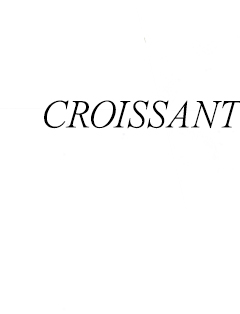CROISSANT FLAKES ON YOUR SHIRT