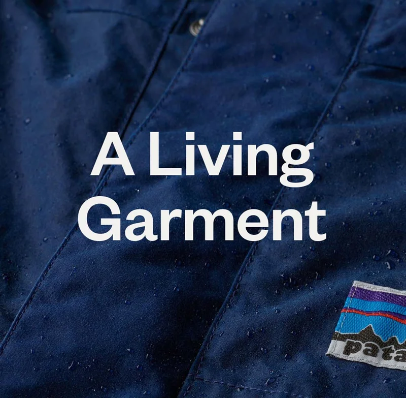 A living garment. Water beading on a dark blue Patagonia jacket.