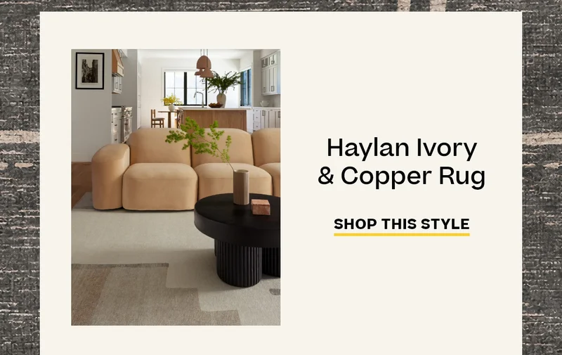 Haylan Ivory Copper Rug