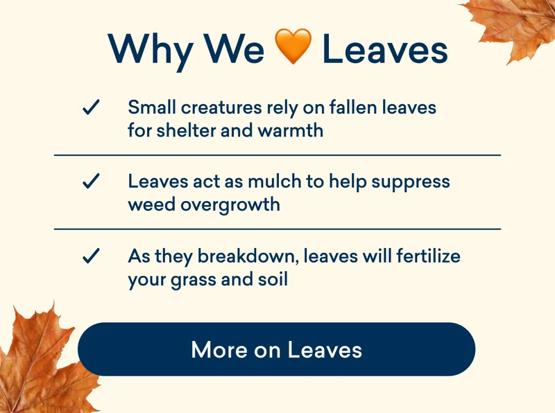More on Leaves