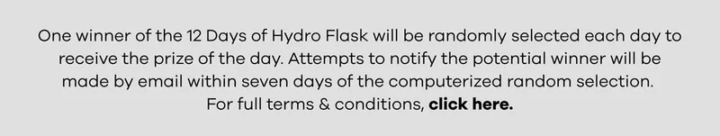 Terms & Conditions