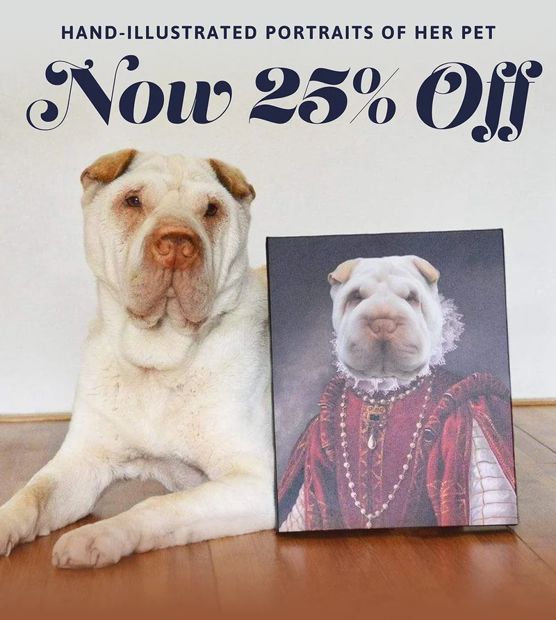 Hand-illustrated portraits of her pet. Now 25% Off