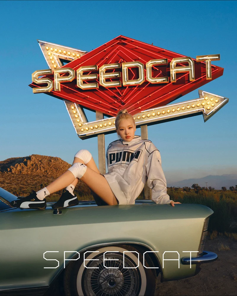 SPEEDCAT