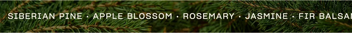 siberian pine • apple blossom • rosemary • jasmine • fir balsam • sandalwood • cedarwood