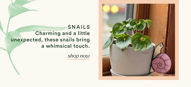 snails