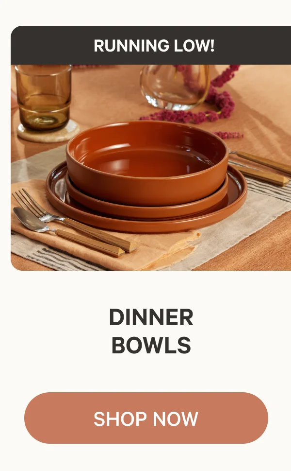 Dinner Bowls | Shop Now
