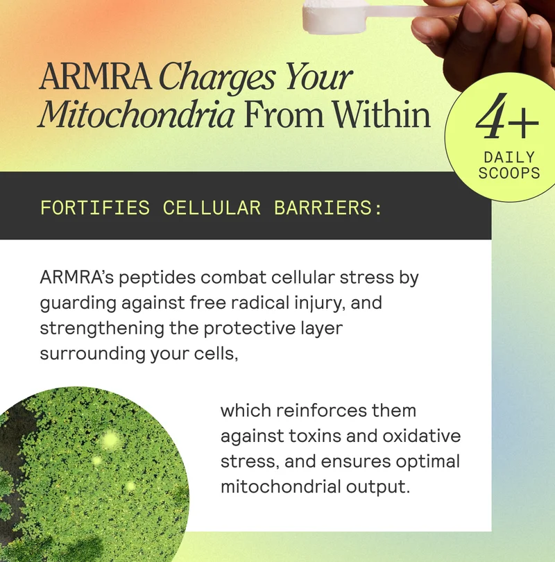 ARMRA charges your Mitochondria from within