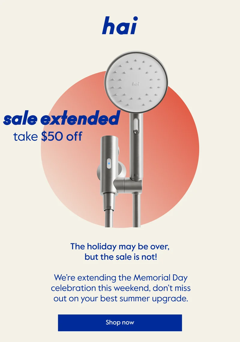 sale extended