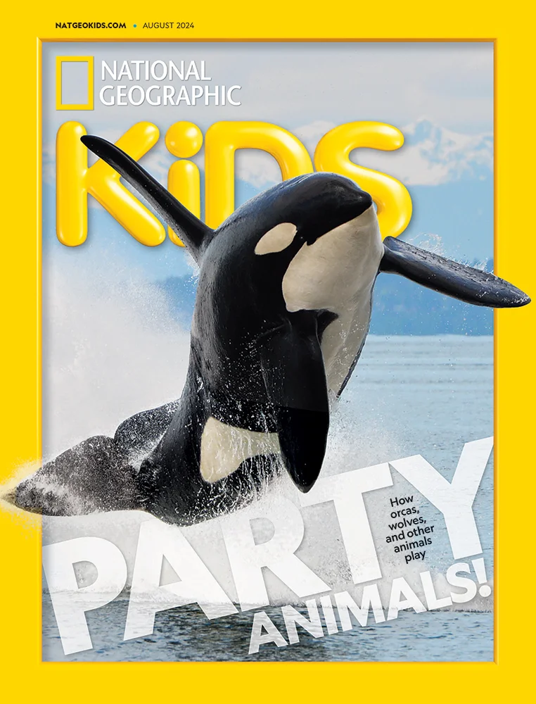 NGK Magazine Cover