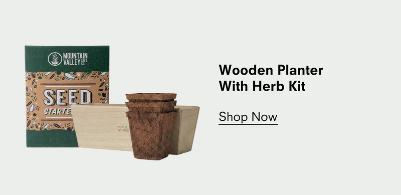 Wooden planter with herb kit