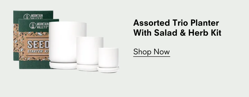 Assorted Trio Planter With Salad & Herb Kit Shop Now
