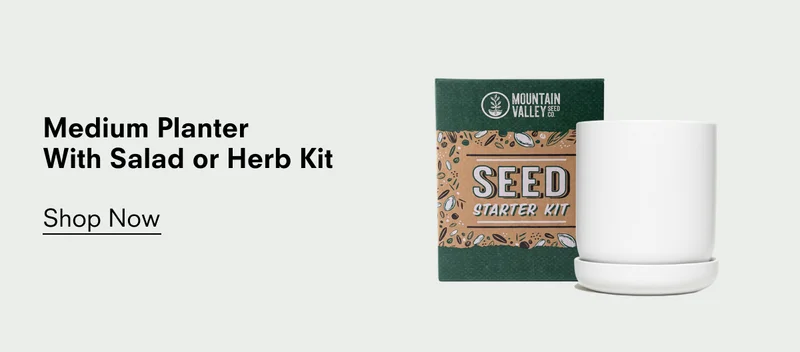 Medium Planter With Salad or Herb Kit Shop Now