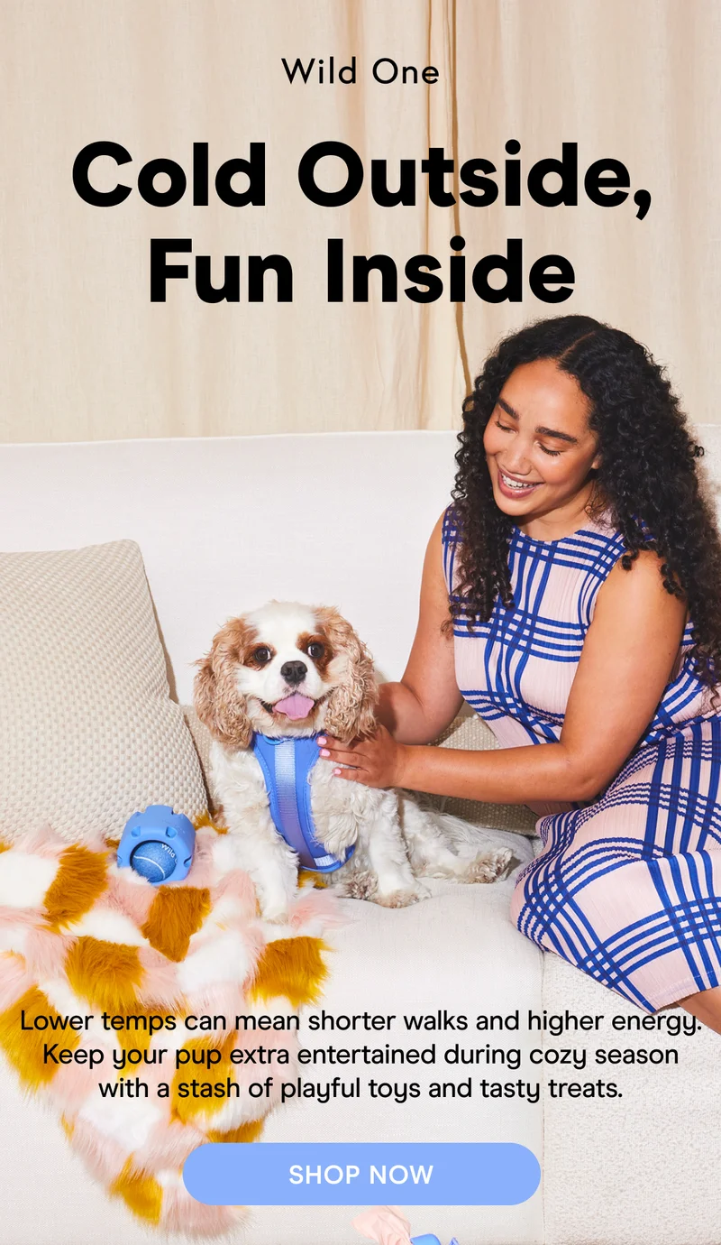 Cold Outside, Fun Inside Lower temps can mean shorter walks and higher energy. Keep your pup extra entertained during cozy season with a stash of playful toys and tasty treats. SHOP NOW