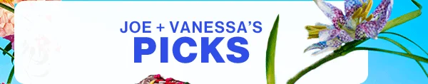 Joe & Vanessa's Picks