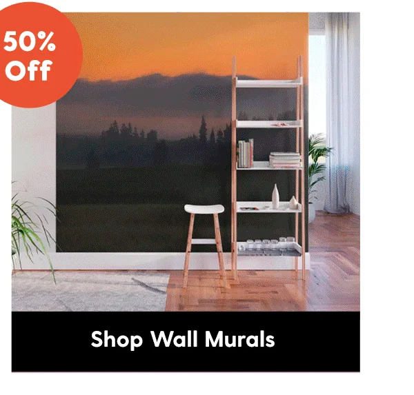 Shop Wall Murals