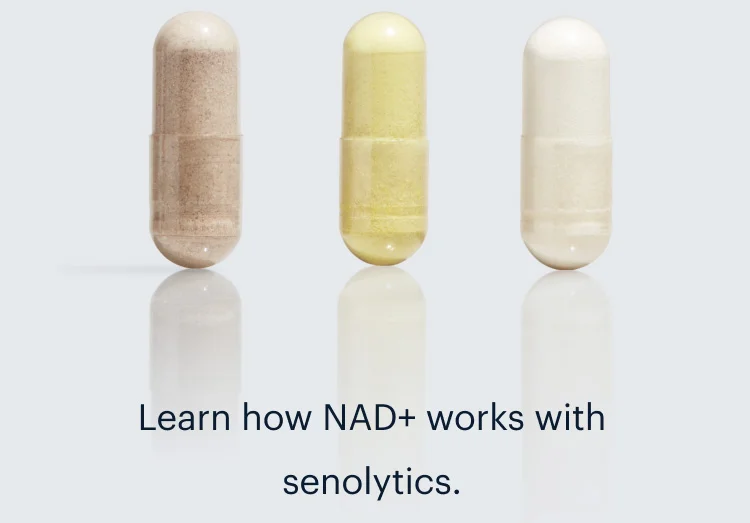 Learn how NAD+ works with senolytics.