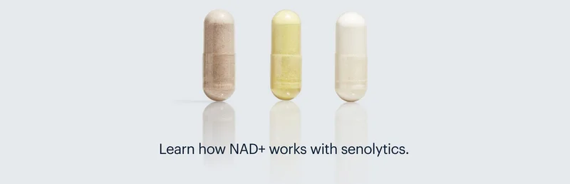 Learn how NAD+ works with senolytics.
