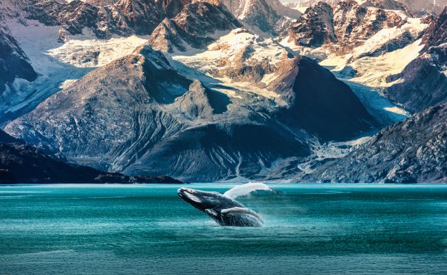 Juneau, Alaska – Click to Learn More
