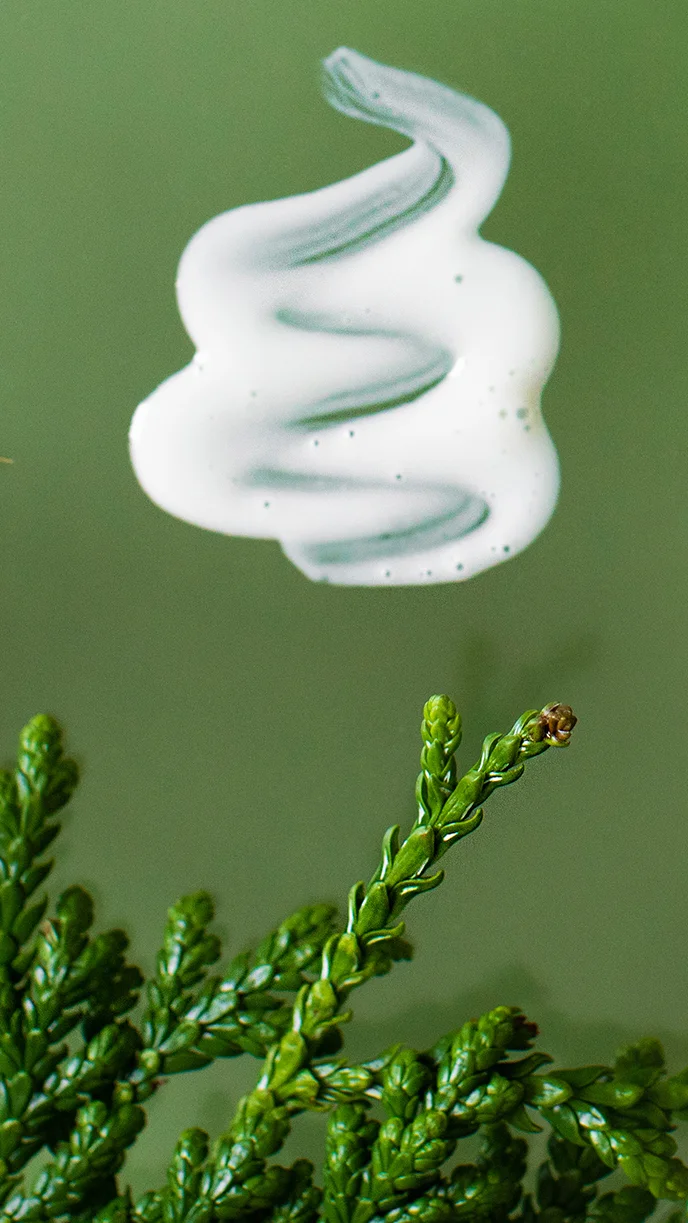 A swatch of white creamy liquid on green with a sprig of juniper