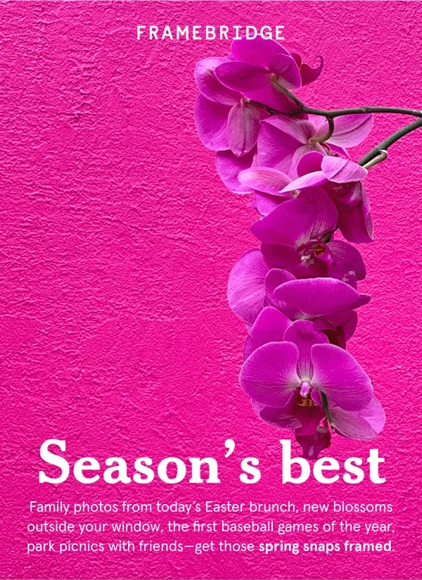 Season's Best. Family photos from today’s Easter brunch, new blossoms outside your window, the first baseball games of the year, park picnics with friends—get those spring snaps framed.