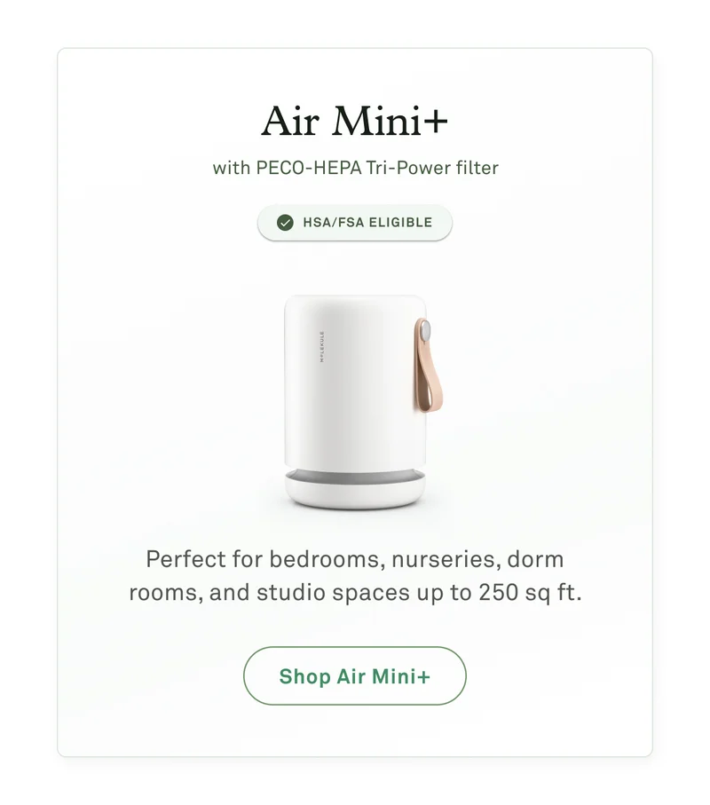 Air Mini+