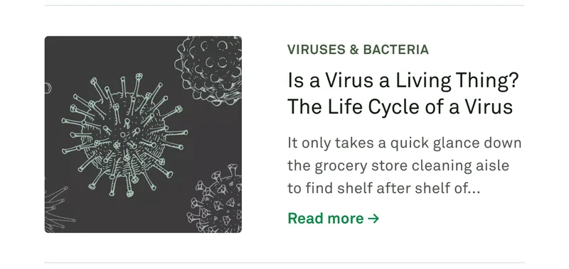 Is a virus a living thing? The lifecycle of a virus