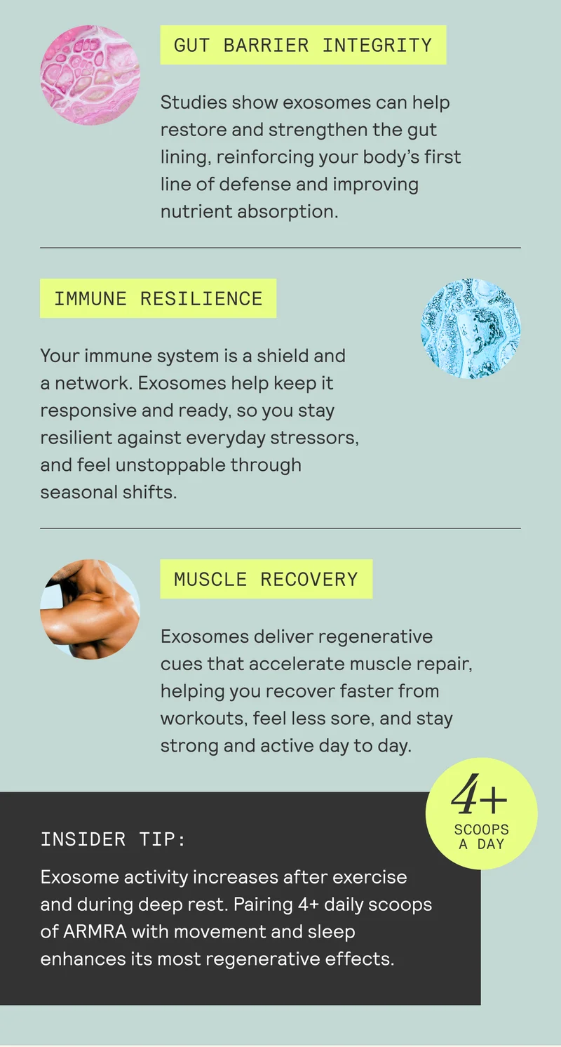 Studies show exosomes can help restore and strengthen the gut lining, reinforcing your body's first line of defense and improving nutrient absorption.