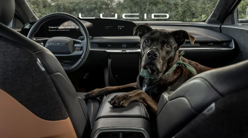 Lucid Motors