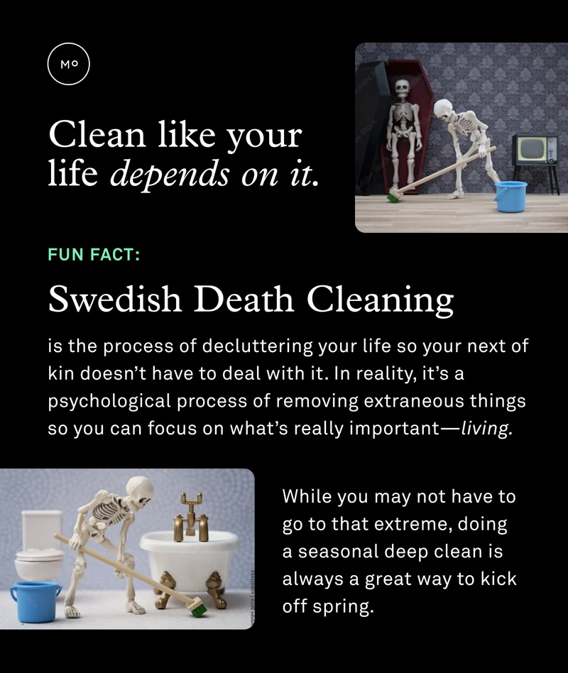 Clean like your life depends on it