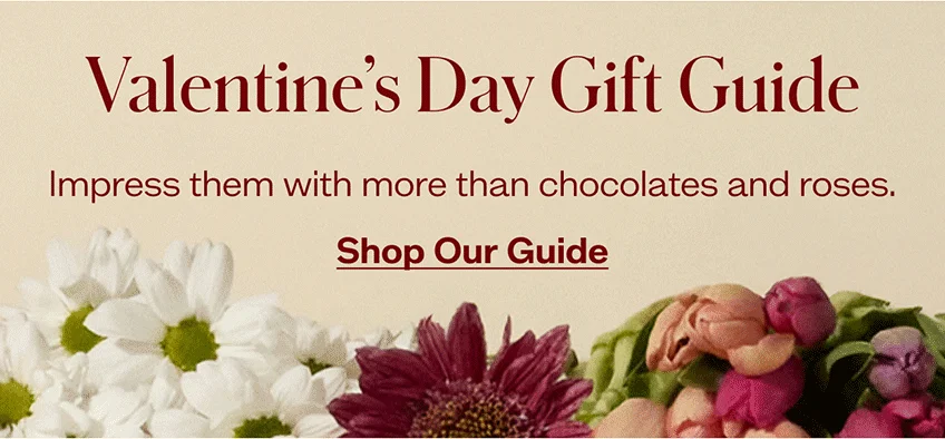 Shop Valentine's Day Gift Guide