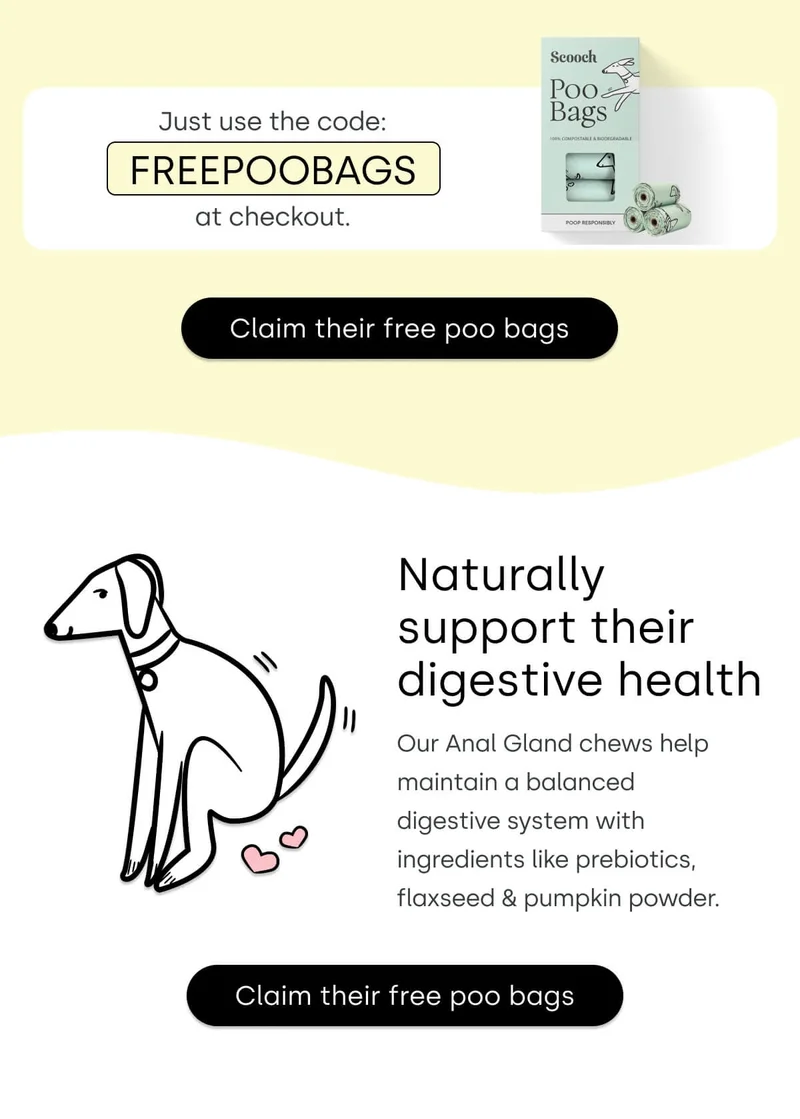 Claim free Poo Bags - Naturally support their digestive health
