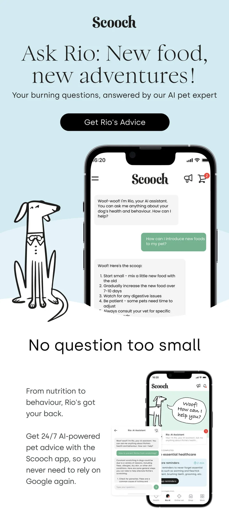 Your burning questions, answered by our AI pet expert - Get Rio's advice