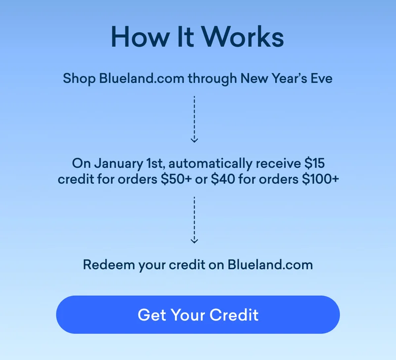 Shop through New Year's Eve, automatically receive up to $40 credit on January 1