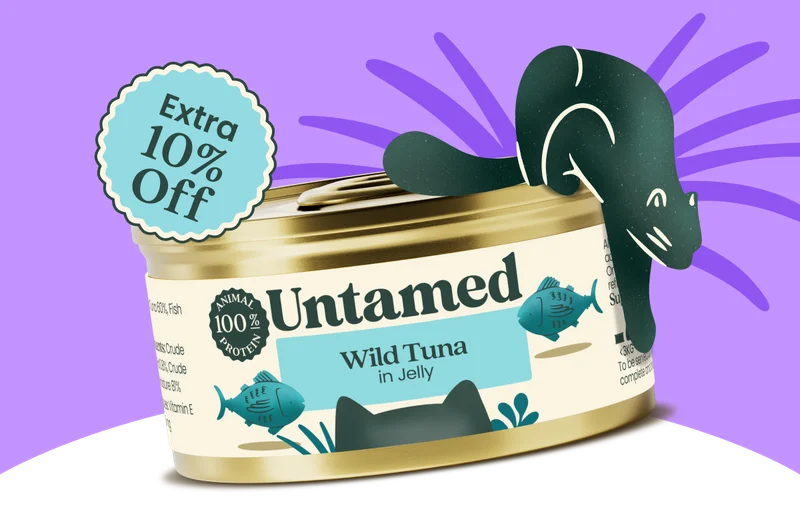 Untamed cat
