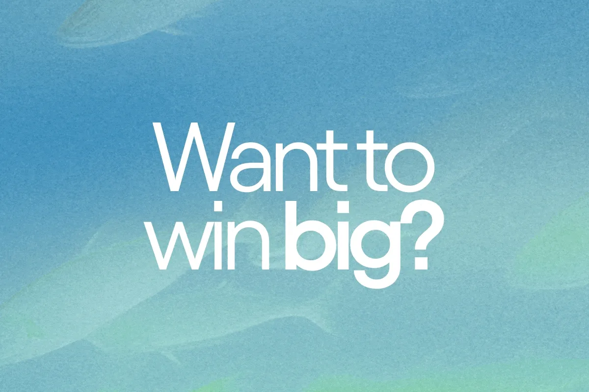 Want to win big?