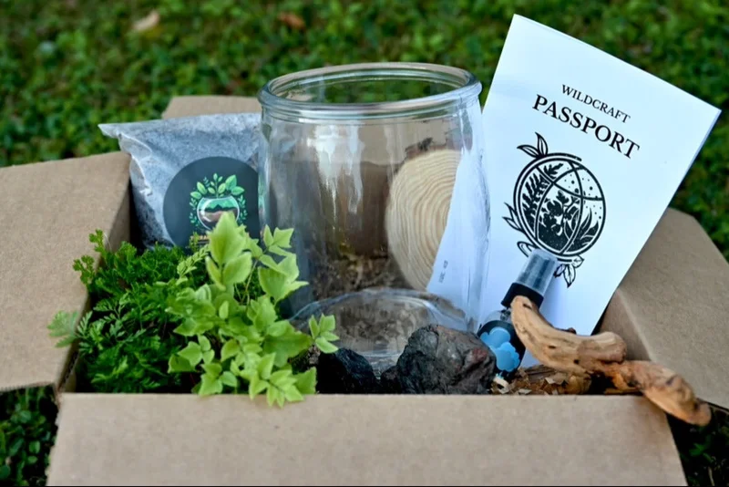 Wildcraft DIY Plant Terrarium Kit