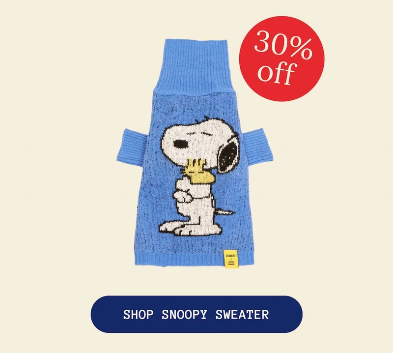 Snoopy Sweater