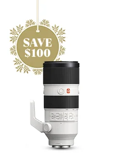 SAVE $100