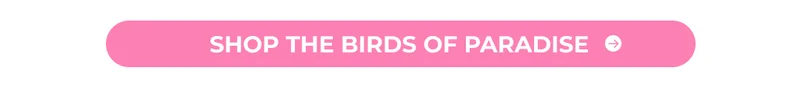 SHOP THE BIRDS OF PARADISE PRINT