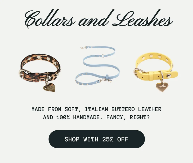 Collars and Leashes