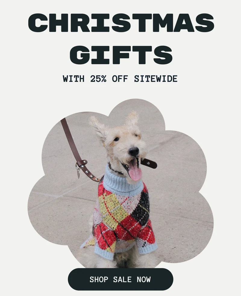 Black Friday Continues!