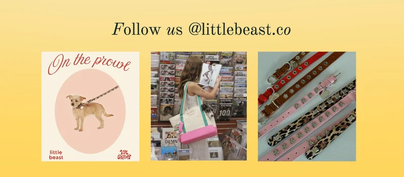 Follow us on Instagram