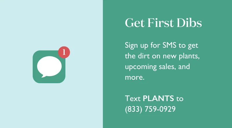 Get First Dibs: Sign up for SMS to get the dirt on new plants, upcoming sales, and more. Text PLANTS to 833-759-0929.