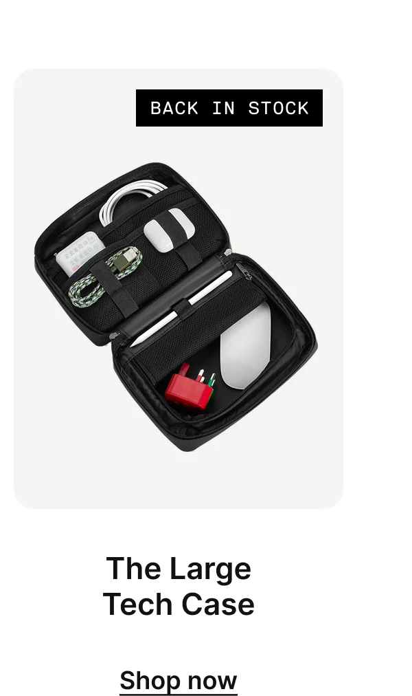 The Large Tech Case