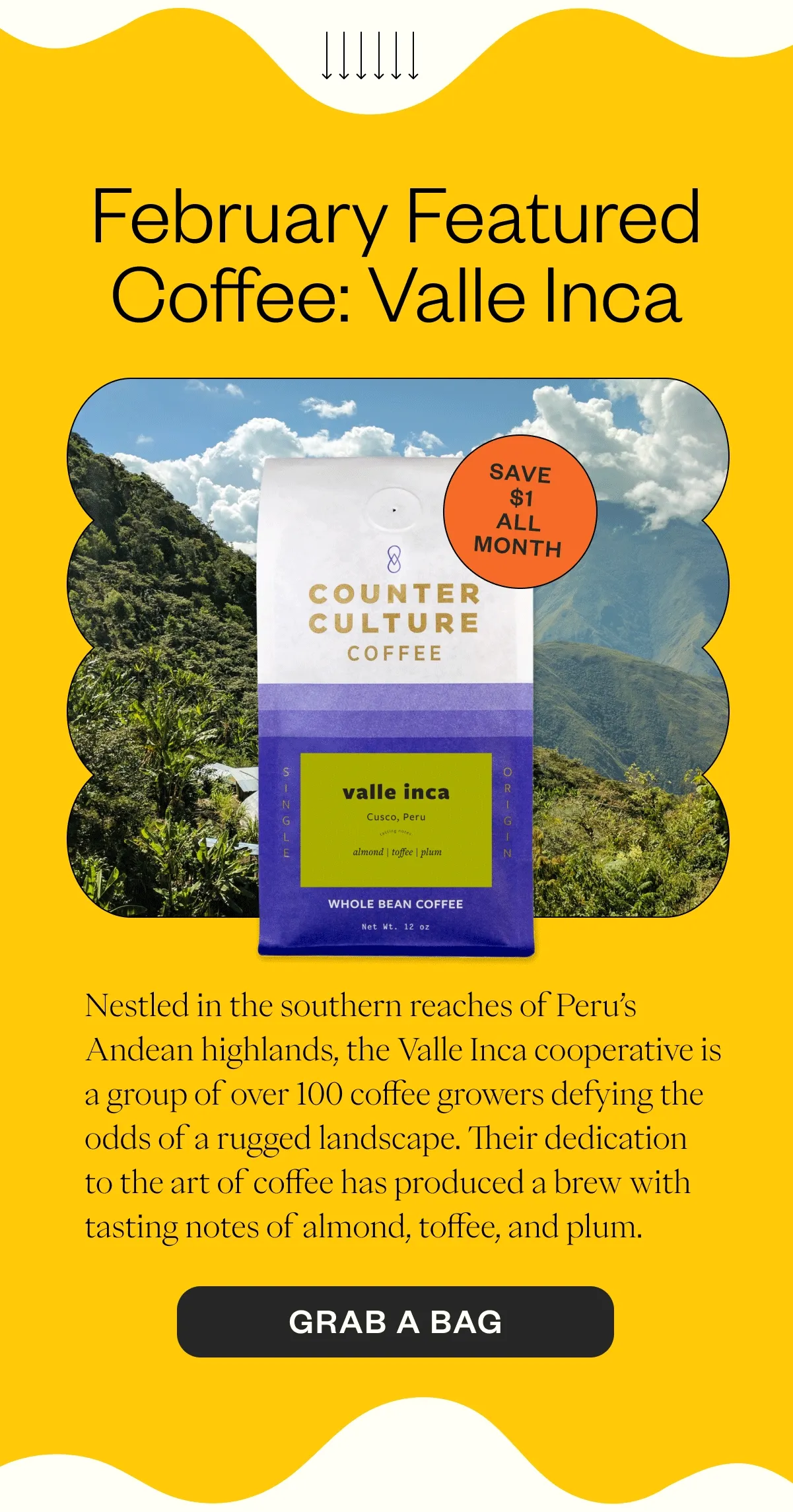 February Featured Coffee: Valle Inca     (badge $1 off) Nestled in the southern reaches of Peru’s Andean highlands, the Valle Inca cooperative is a group of over 100 coffee growers defying the odds of a rugged landscape. Their dedication to the art of coffee has produced a brew with tasting notes of almond, toffee, and plum. CTA: Grab a Bag
