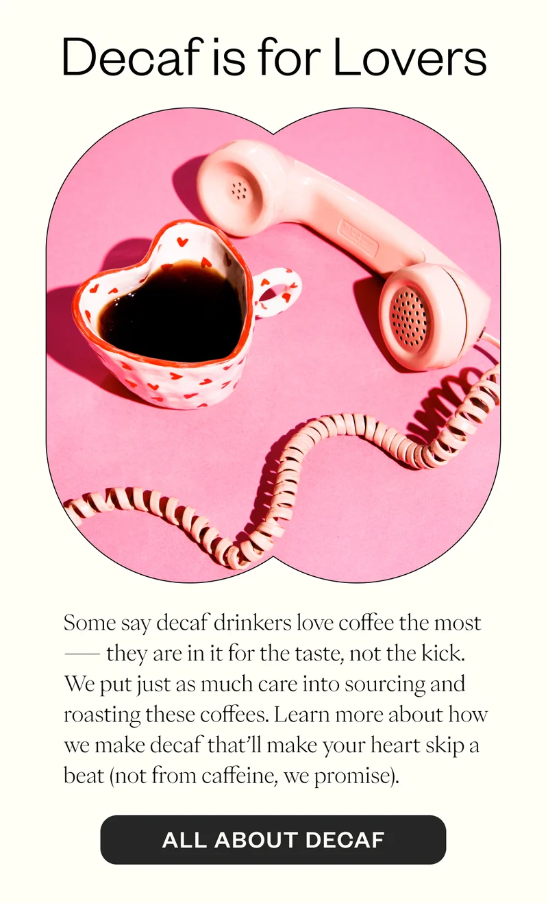 Decaf is for Lovers Some say decaf drinkers love coffee the most  — they are in it for the taste, not the kick. We put just as much care into sourcing and roasting these coffees. Learn more about how we make decaf that’ll make your heart skip a beat (not from caffeine, we promise). CTA: All About Decaf