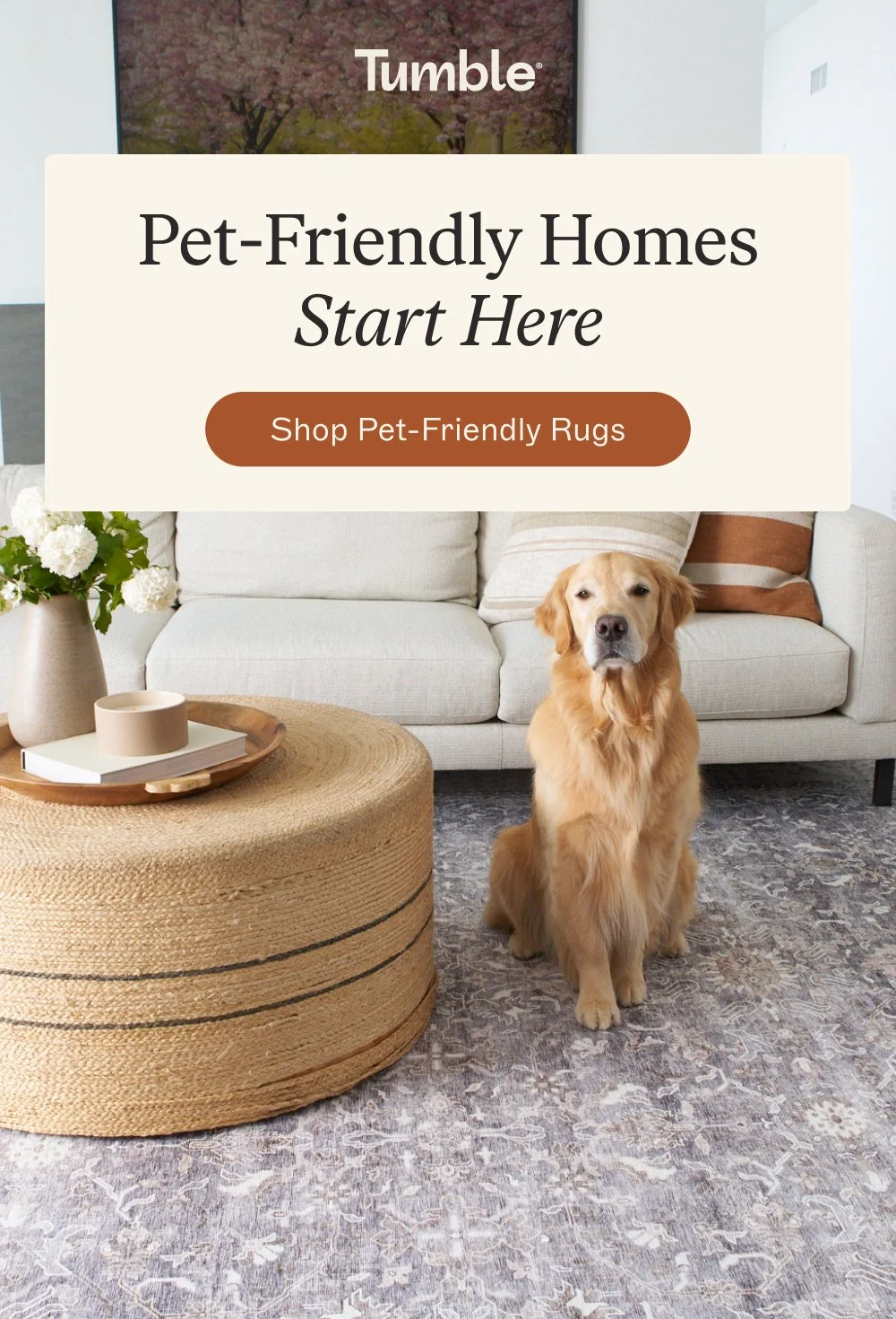[ shop pet-friendly rugs ]