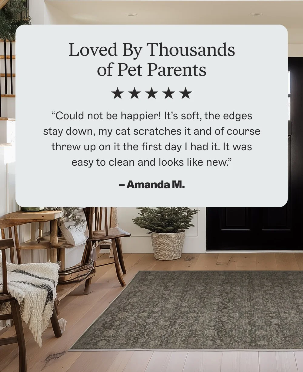 Loved By Thousands of Pet Parents